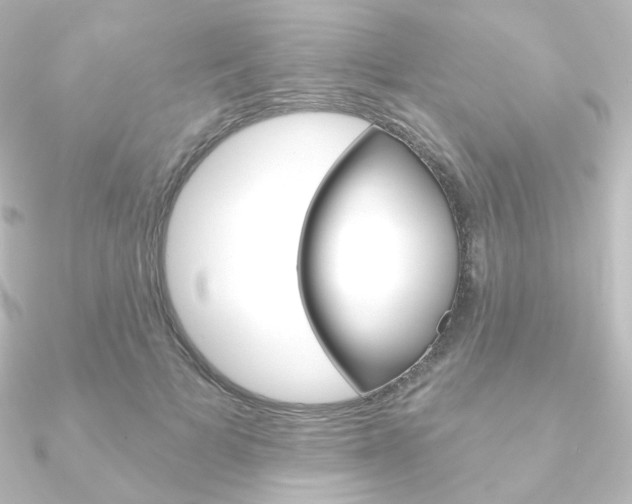 X0000090950697200708021101