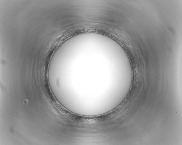 X0000090950698200708021101