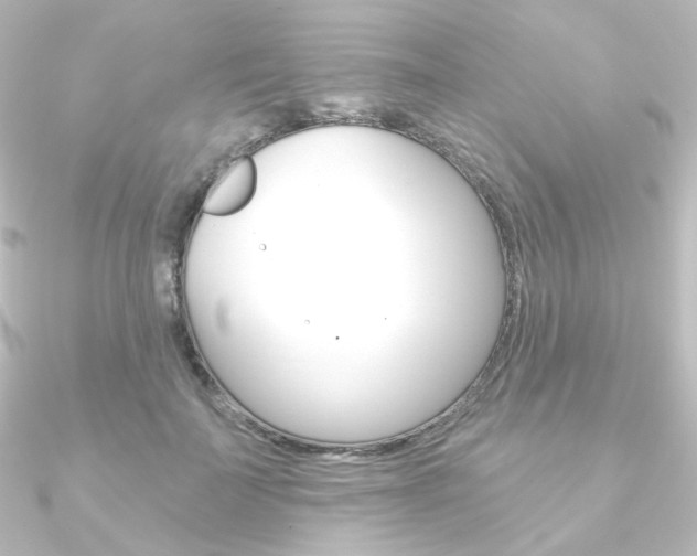 X0000090950699200708021101