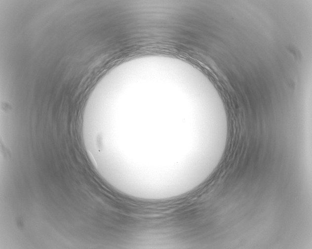 X0000090950701200708021101