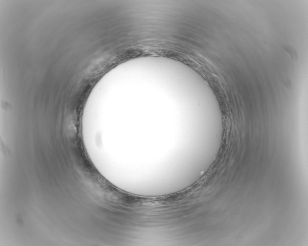 X0000090950702200708021101