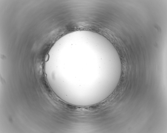 X0000090950703200708021101