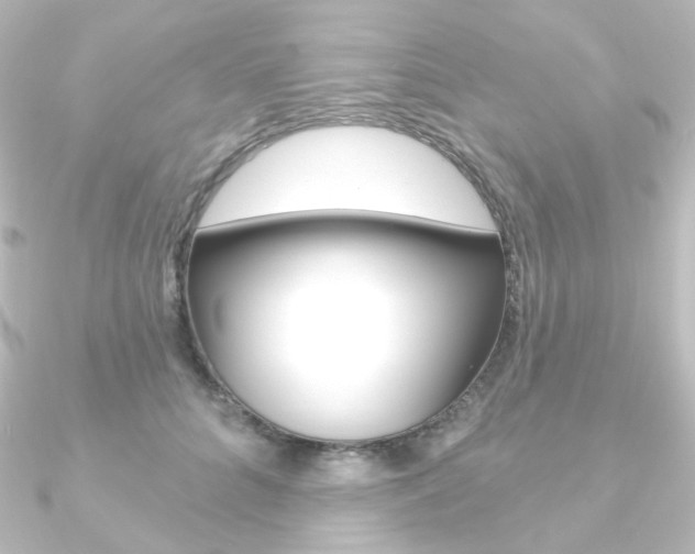 X0000090950704200708021101