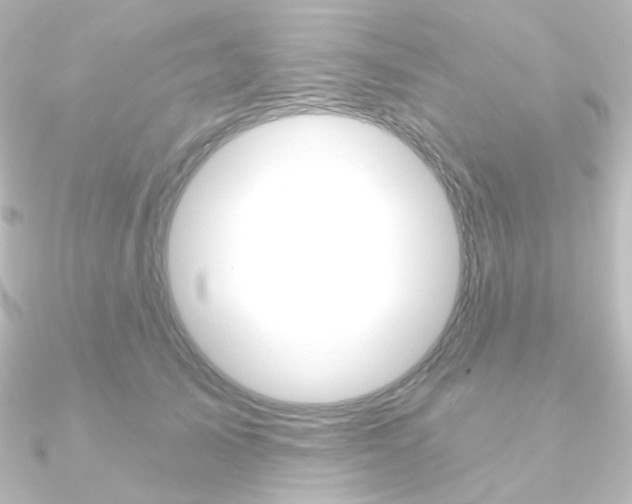 X0000090950705200708021101