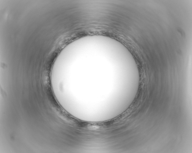 X0000090950706200708021101