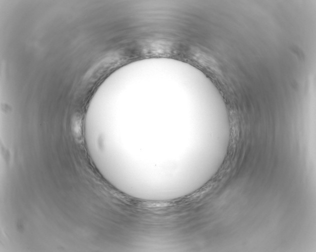 X0000090950709200708021101