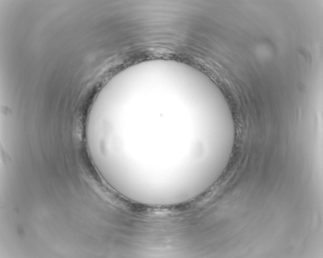 X0000090950710200708021101