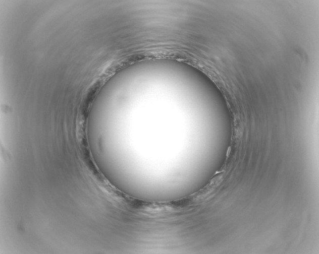X0000090950712200708021101