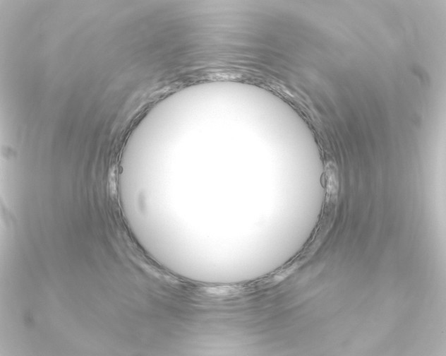 X0000090950713200708021101