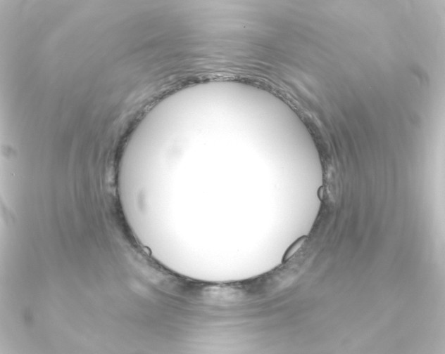 X0000090950714200708021101