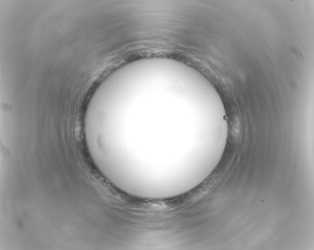 X0000090950715200708021101
