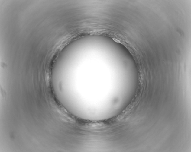 X0000090950716200708021101