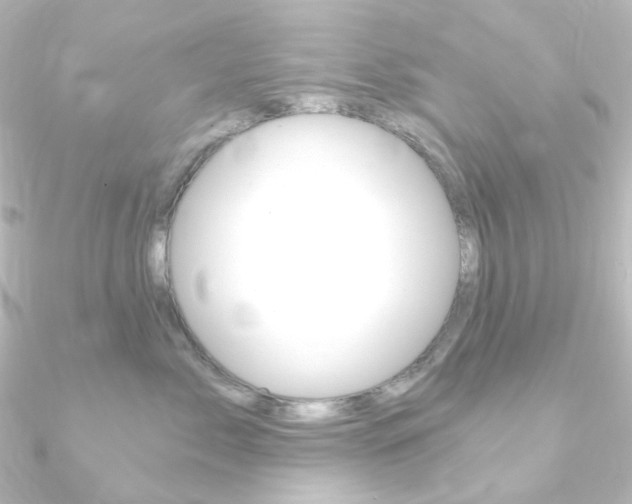 X0000090950717200708021101