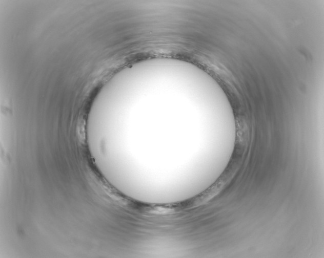 X0000090950718200708021101
