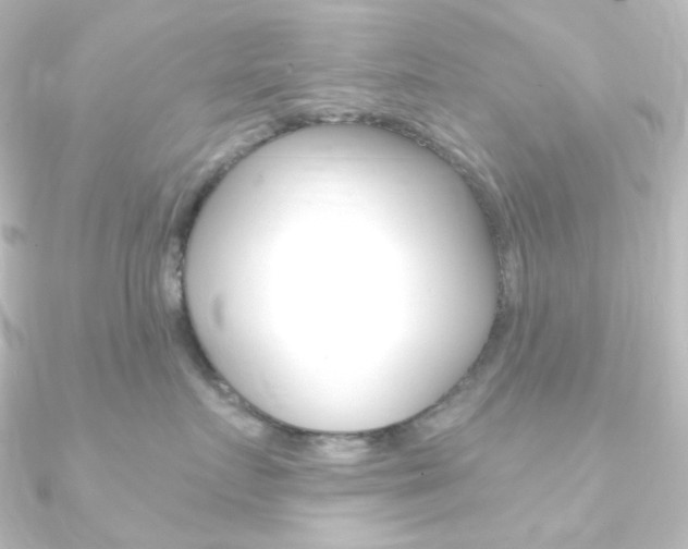 X0000090950719200708021101