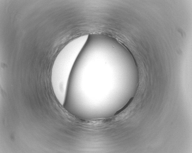 X0000090950720200708021101