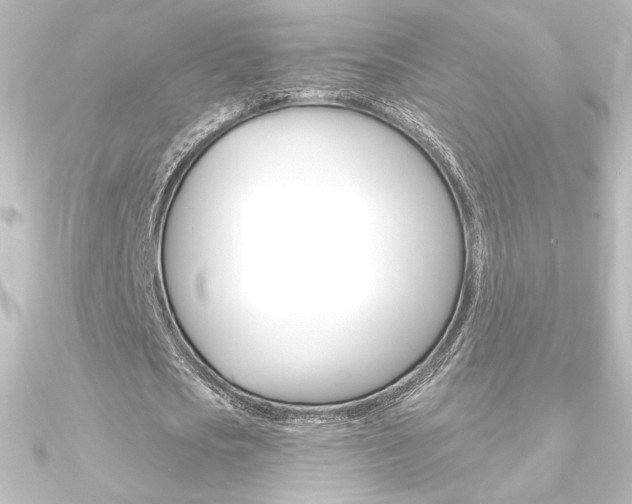 X0000090950721200708021100