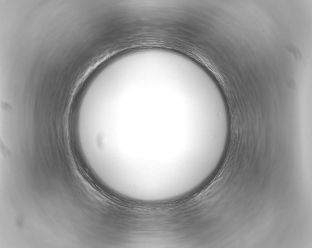 X0000090950722200708021100