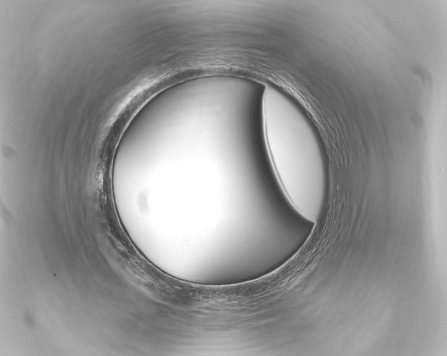 X0000090950723200708021100