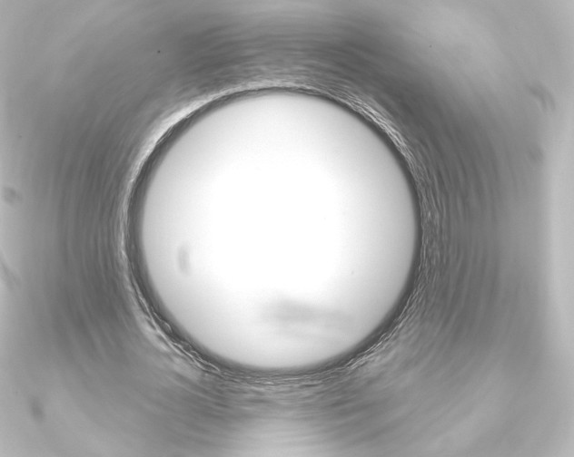 X0000090950724200708021100