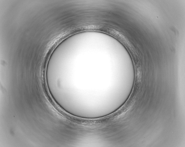 X0000090950725200708021100