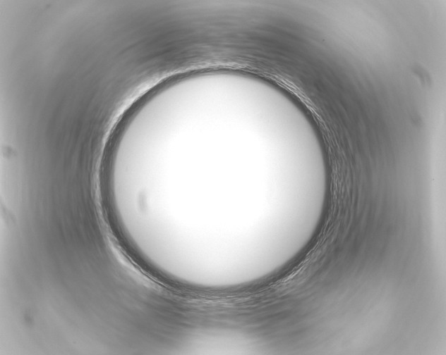 X0000090950726200708021100