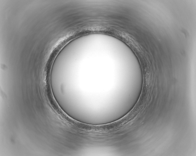 X0000090950727200708021100