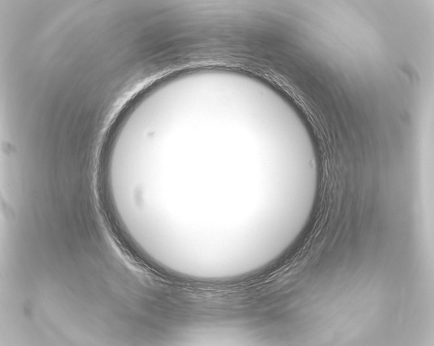 X0000090950728200708021101