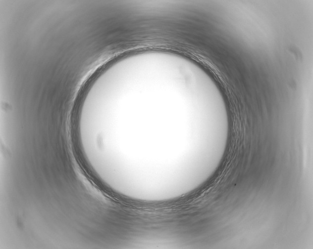 X0000090950730200708021101