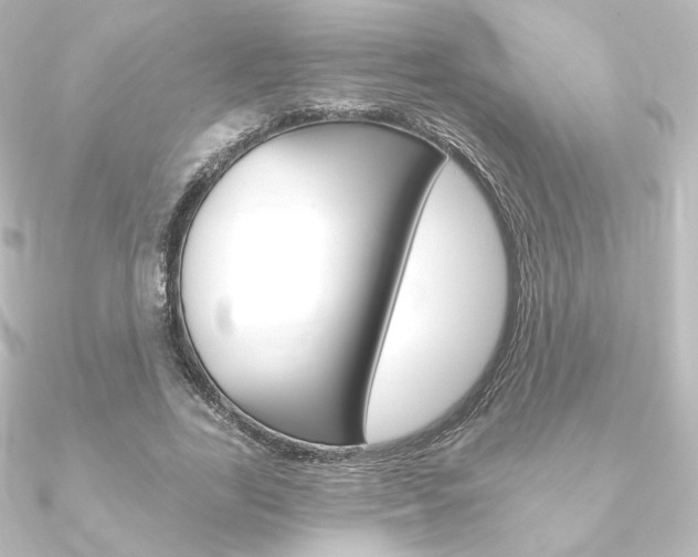 X0000090950731200708021101