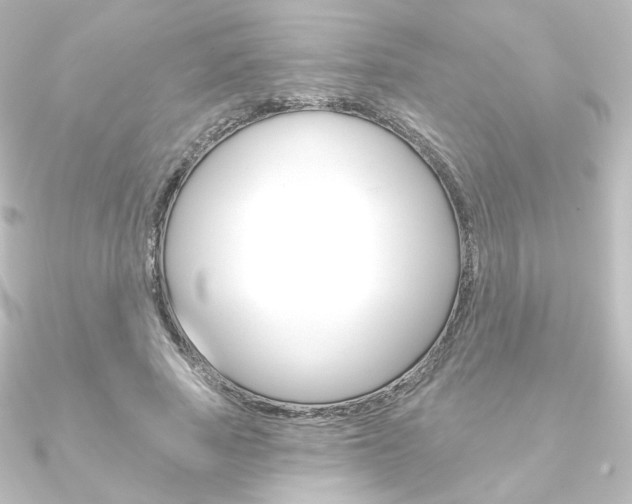 X0000090950737200708021101