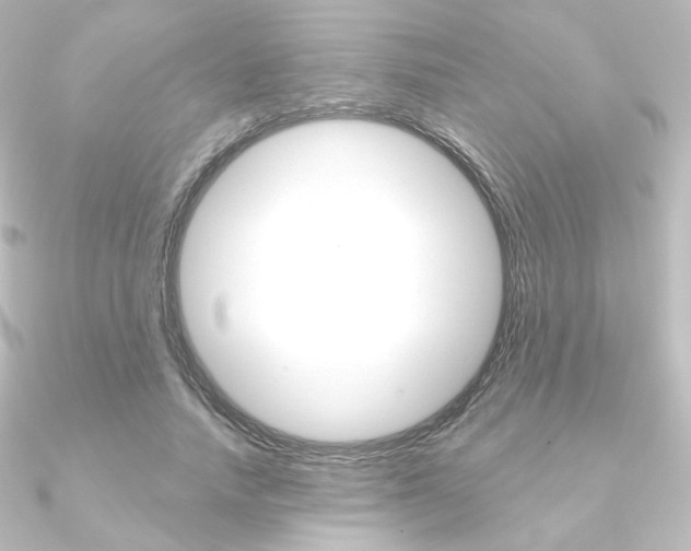 X0000090950738200708021101