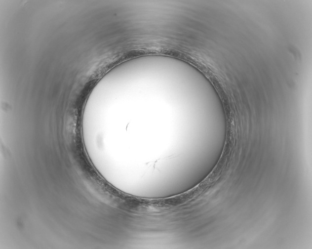 X0000090950739200708021101