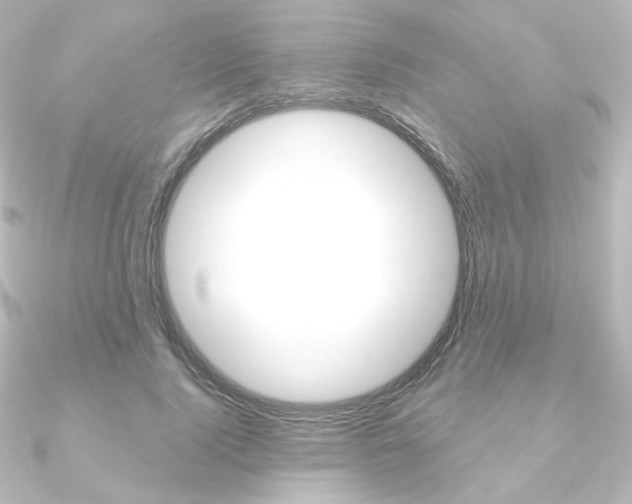 X0000090950740200708021101