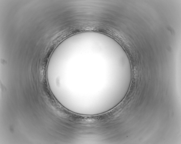 X0000090950741200708021101