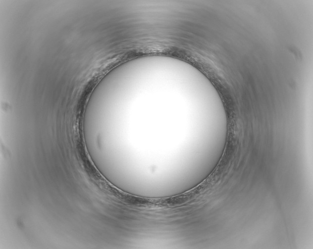 X0000090950743200708021101
