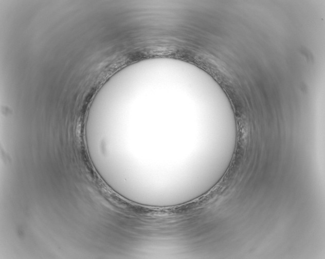 X0000090950745200708021101