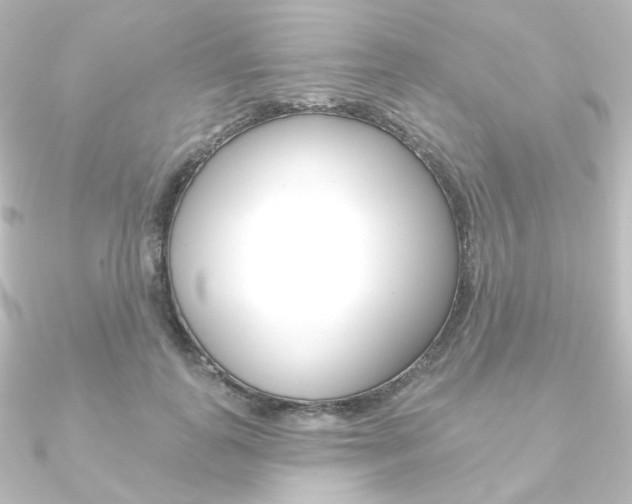 X0000090950747200708021101