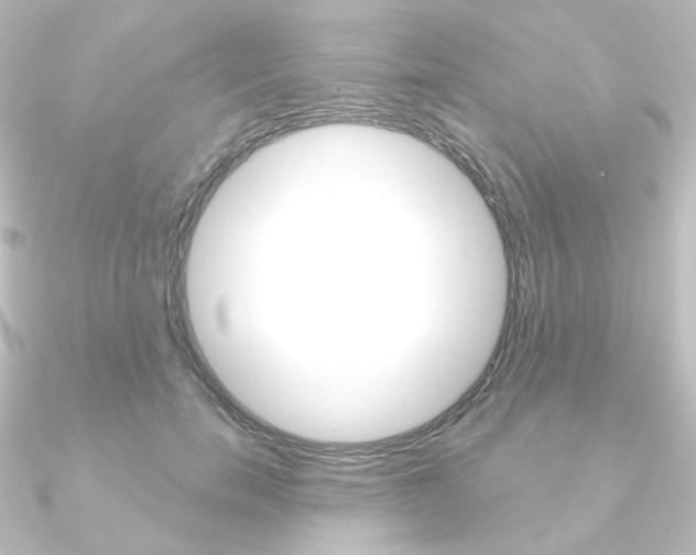 X0000090950750200708021101