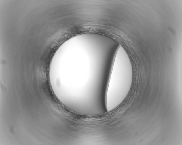 X0000090950751200708021101