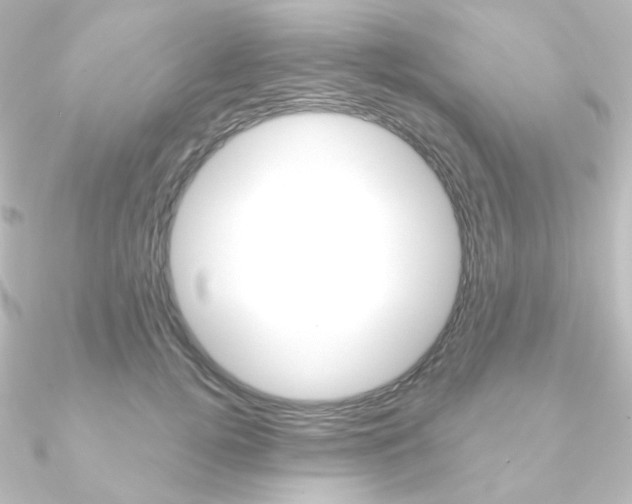 X0000090950752200708021101