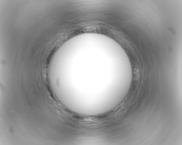X0000090950753200708021101