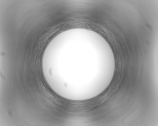 X0000090950754200708021101