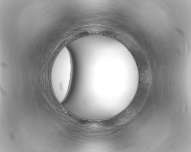 X0000090950755200708021101