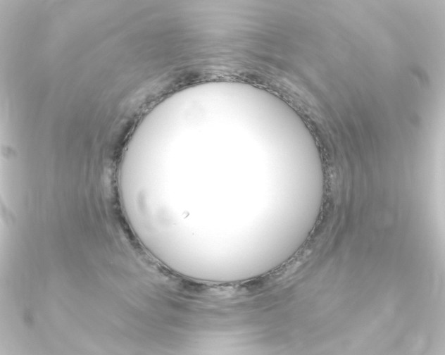 X0000090950757200708021101