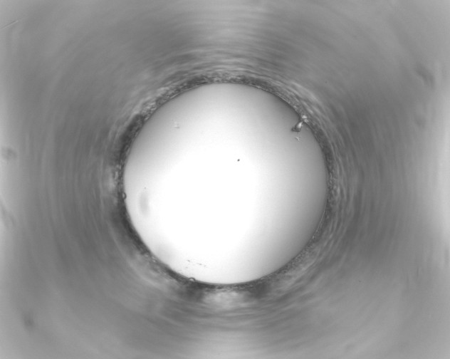 X0000090950759200708021101