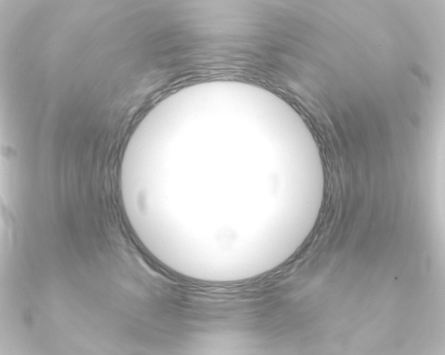 X0000090950760200708021101