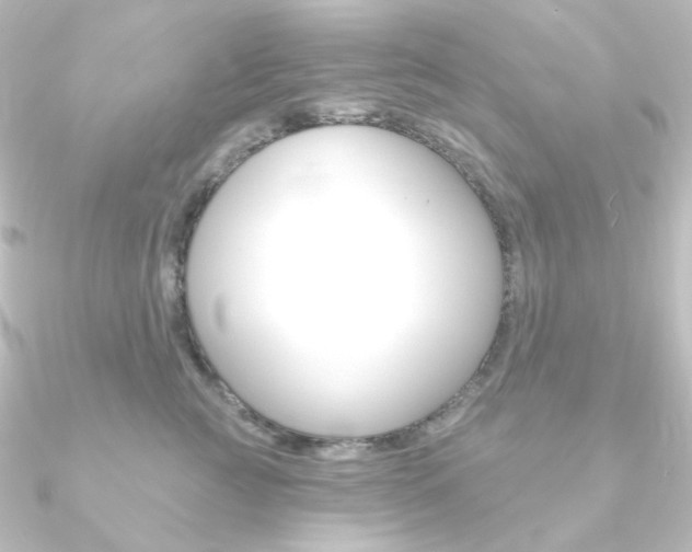 X0000090950761200708021101