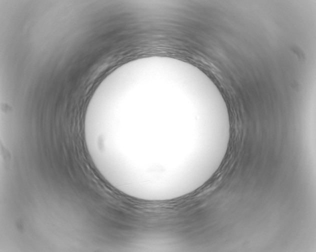 X0000090950762200708021101