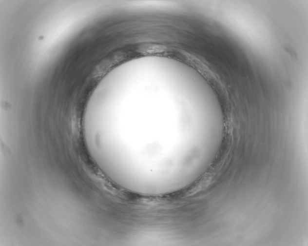 X0000090950763200708021101